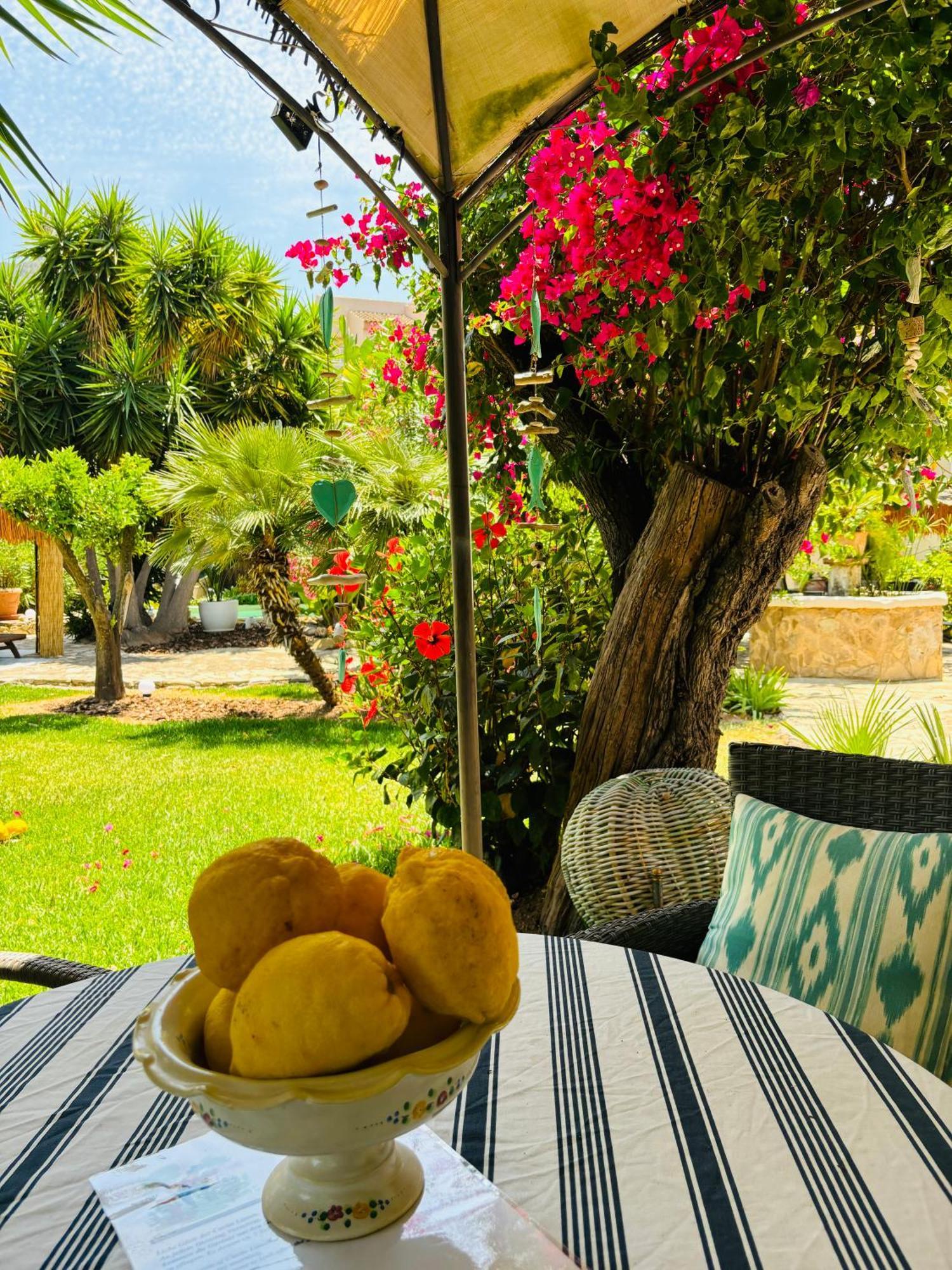 Casita Limon Andratx Villa Ngoại thất bức ảnh