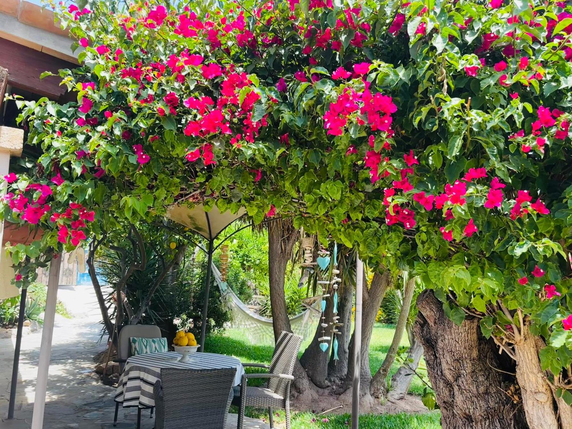 Casita Limon Andratx Villa Ngoại thất bức ảnh